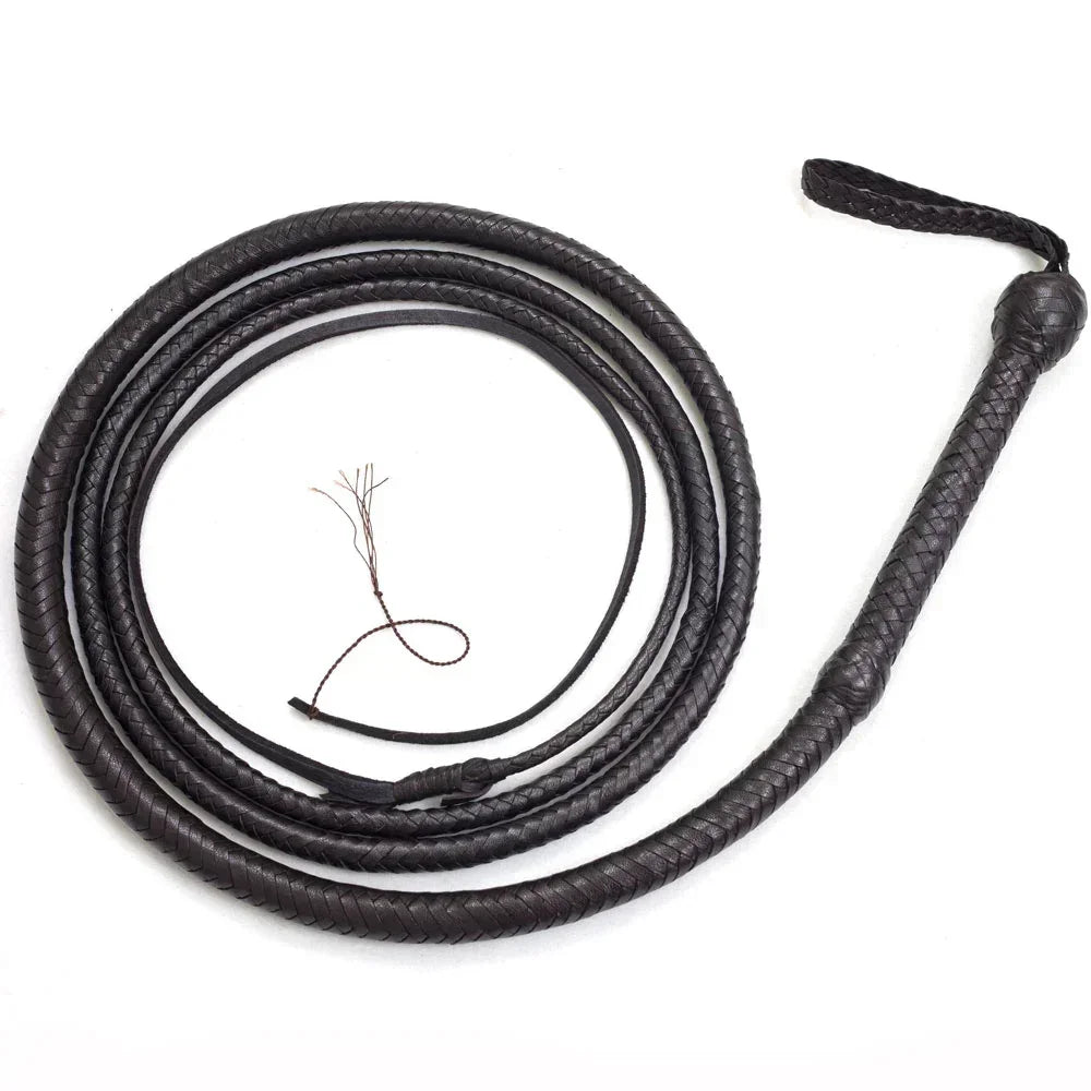 leather whip