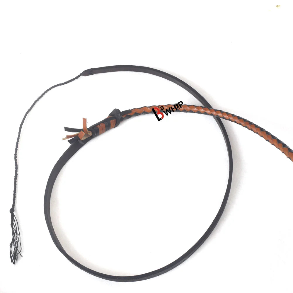 Fall and crackers of a whip